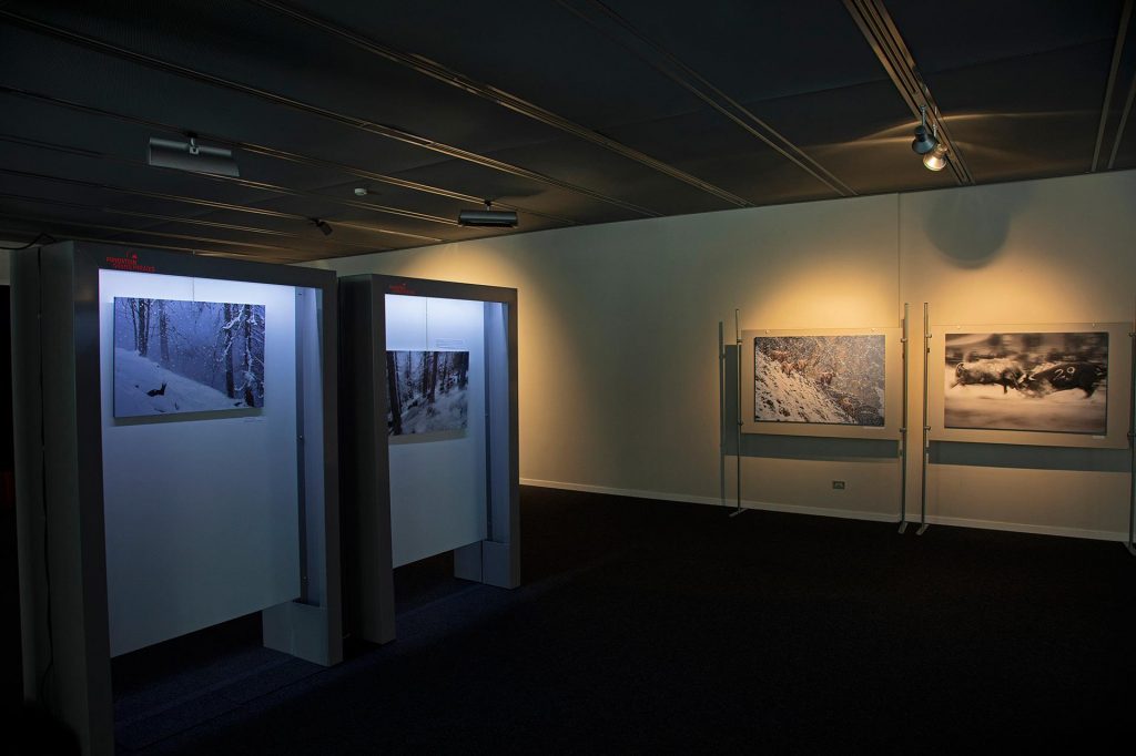 Mostra In Paradiso