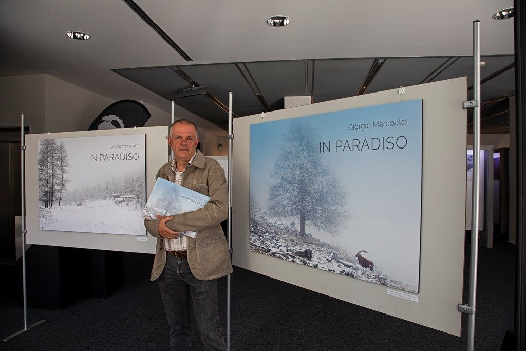 Mostra In Paradiso
